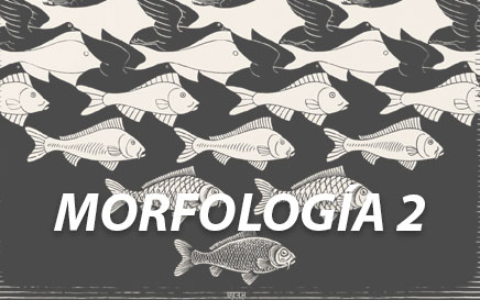 logo af